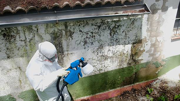 Top rated local Mold Remediation specialists in Abington, PA